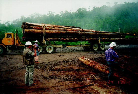 Deforestation In The Tropics Springerlink Deforestation In The Tropics Springerlink