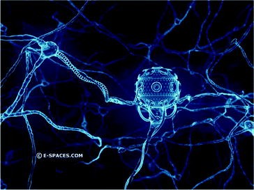 comprehensive nanorobotic control of
