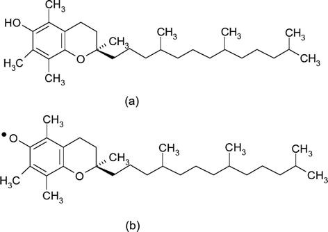 The Neuroprotective Efficacy Of Vitamins Springerlink