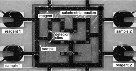 Microfluidic Lab On A Chip Platforms Requirements Characteristics And Applications Springerlink Microfluidic Lab On A Chip Platforms Requirements Characteristics And Applications Springerlink
