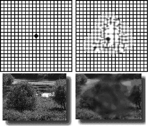 The Clinical Application Of Ozonetherapy Springerlink - 