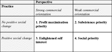 Entrepreneurial Social Responsibility Scoping The Territory