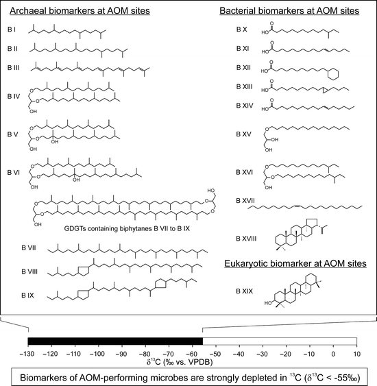 Microbial Chemofossils In Specific Marine Hydrothermal And Methane