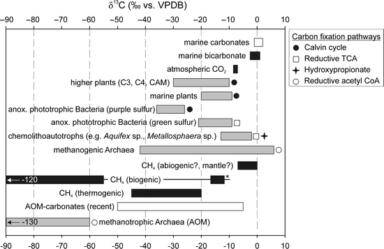 Microbial Chemofossils In Specific Marine Hydrothermal And Methane