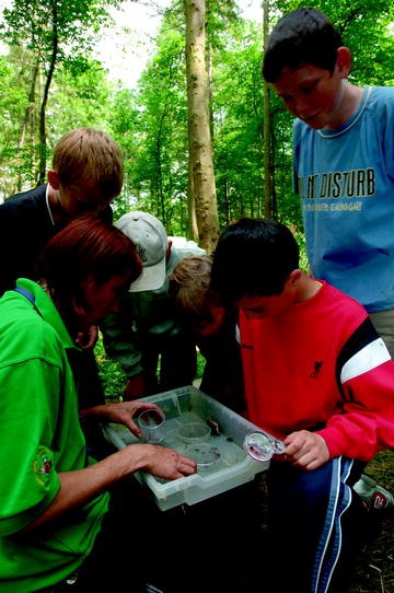 Outdoor Education Life Long Learning And Skills Development In