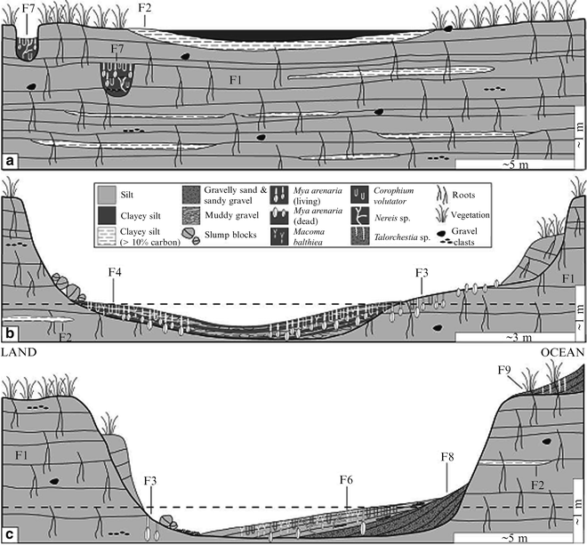 Salt Marsh Sedimentation  SpringerLink