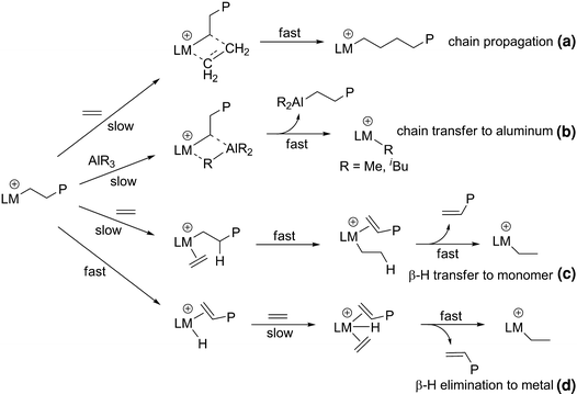 Oligomerization And Polymerization Of Olefins With Iron And - 