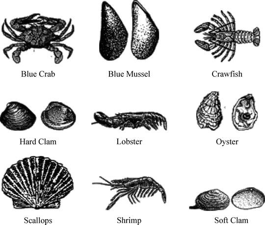 Disease Transmission In Water Springerlink - 