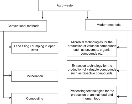 Sustainable Solutions For Agro Processing Waste Management - 