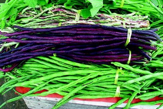 Red Bean Seeds Vigna Unguiculata Seeds Long Bean Vegetables Seeds Home WST 03