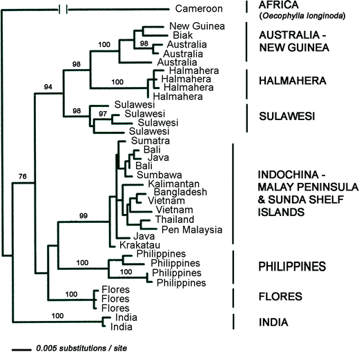 A Biogeographic History Of Southeast Asian Rainforests Springerlink
