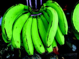 Banana Robusta Meaning In Hindi