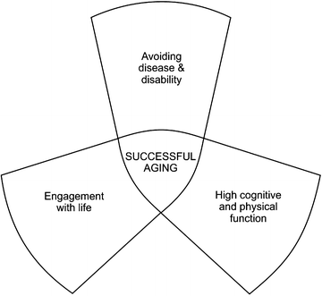 Characteristics Of A Successful Agin Aging