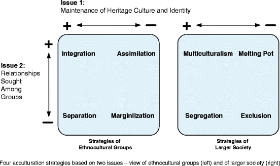 Navigating Cultural Spaces A Transactional Perspective On Immigration Springerlink