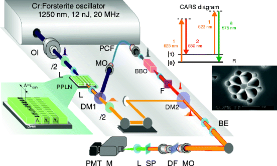 Photonic Crystal Fiber Platform For Ultrafast Optical Science Springerlink