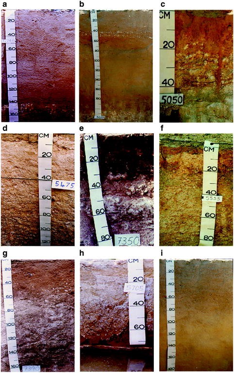 Reconnaissance Soil Survey For The State Of Kuwait Springerlink