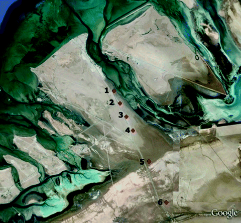 Anhydrite Formation on the Coastal Sabkha of Abu Dhabi, United ...