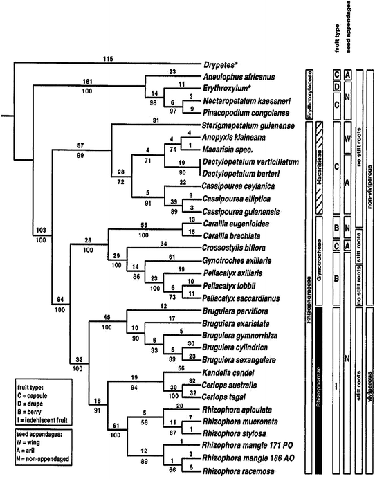 Bioprospecting And Genetic Engineering Of Mangrove Genes To