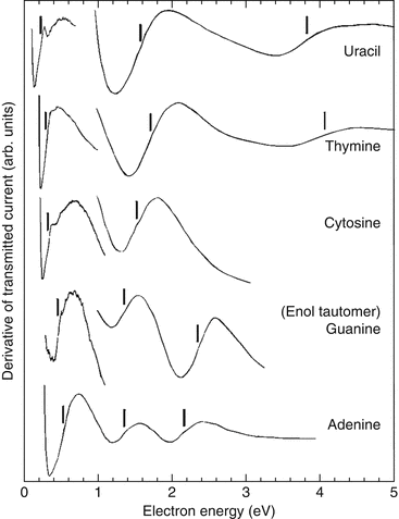 Low Energy Electron Lee Induced Dna Damage Theoretical