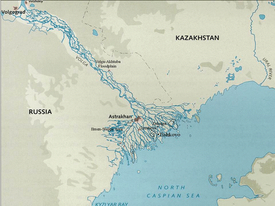 volga river delta russia springerlink