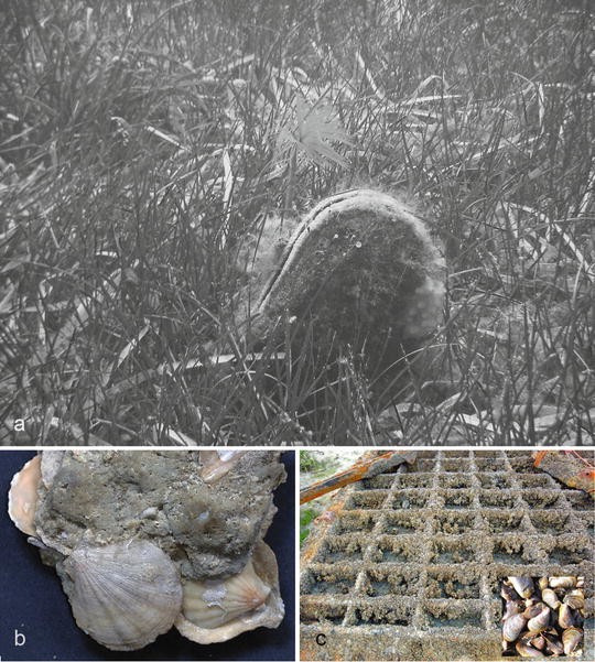 Pitti Uomo 94 Highlights Magazzino26