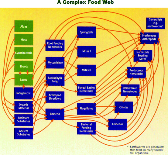 Energetic Services Of Nature That Increase Agricultural Sustainability Springerlink Energetic Services Of Nature That Increase Agricultural Sustainability Springerlink