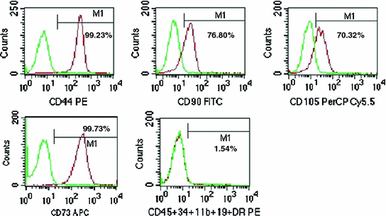 Human Amniotic Fluid Derived And Amniotic Membrane Derived Stem Cells Springerlink Human Amniotic Fluid Derived And Amniotic Membrane Derived Stem Cells Springerlink