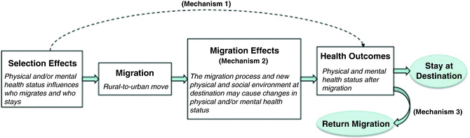 Tulanes Mental Health Meltdown Must >> Migration Urbanization And Health Springerlink Tulanes Mental Health Meltdown Must >> Migration Urbanization And Health Springerlink