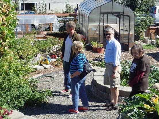 How To Grow A Front Yard Edible Garden Your Neighbors Will Love