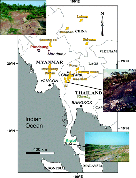 Evolutionary History of the Large Herbivores of South and 