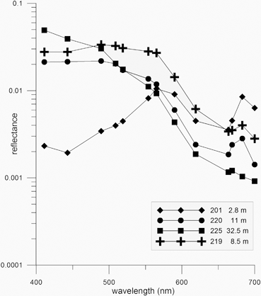 The Upwelling Area Off Namibia The Northern Part Of The Benguela Current System Springerlink