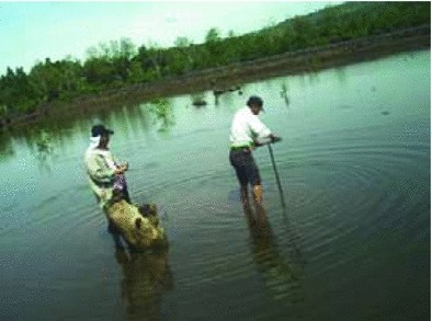 mill view fishing tackle