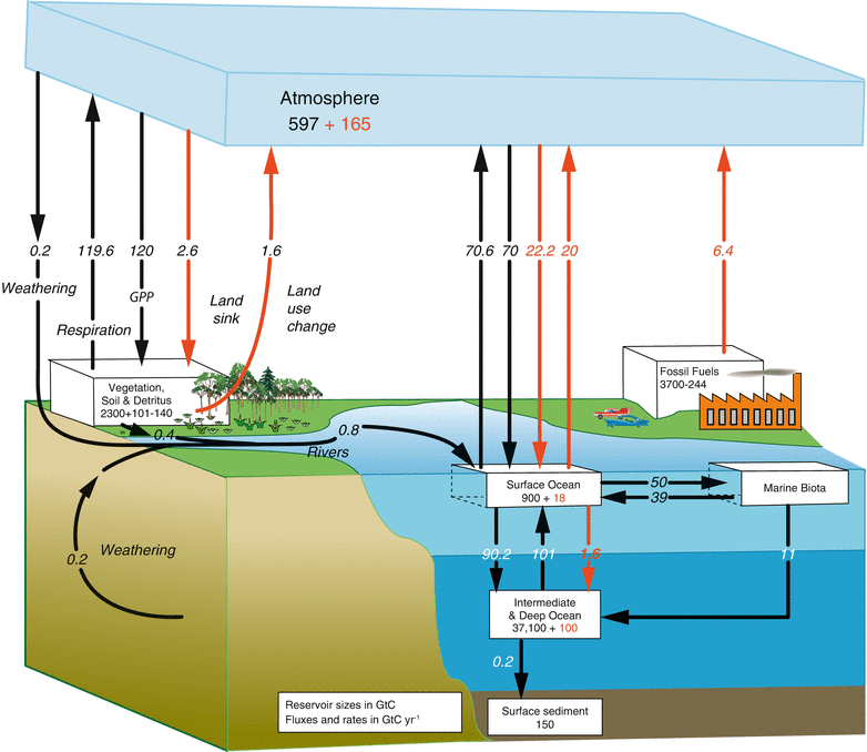 Biogeochemical Cycles | Springerlink Biogeochemical Cycles | Springerlink