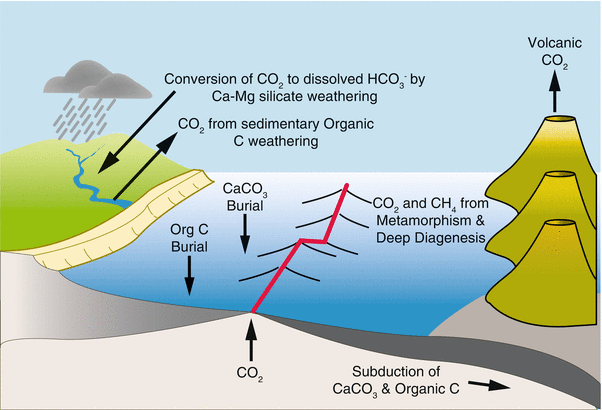 Biogeochemical Cycles Springerlink