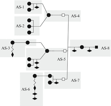 Reconstructing Argumentation Structures A Perspective On Proving Processes In Secondary Mathematics Classroom Interactions Springerlink