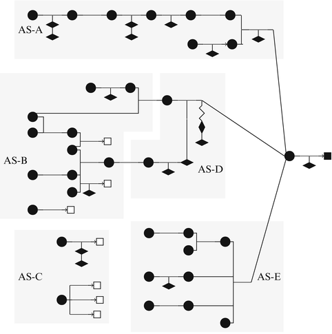 Reconstructing Argumentation Structures A Perspective On Proving Processes In Secondary Mathematics Classroom Interactions Springerlink