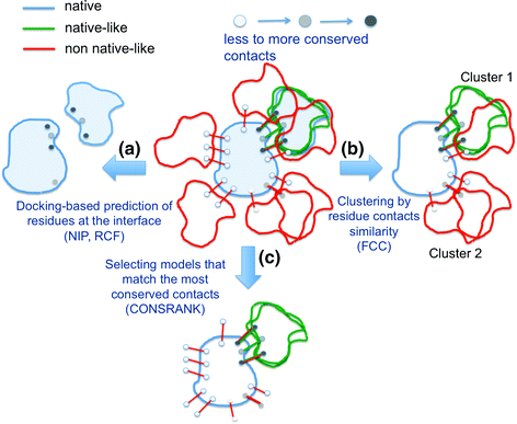 Prediction Of Biomolecular Complexes Springerlink