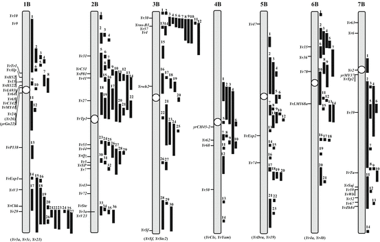 Stripe Rust Resistance | SpringerLink