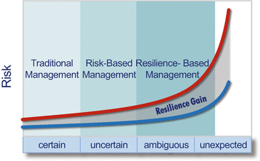 infrastructure resilience assessment management and governance seven domains of a typical it infrastructure