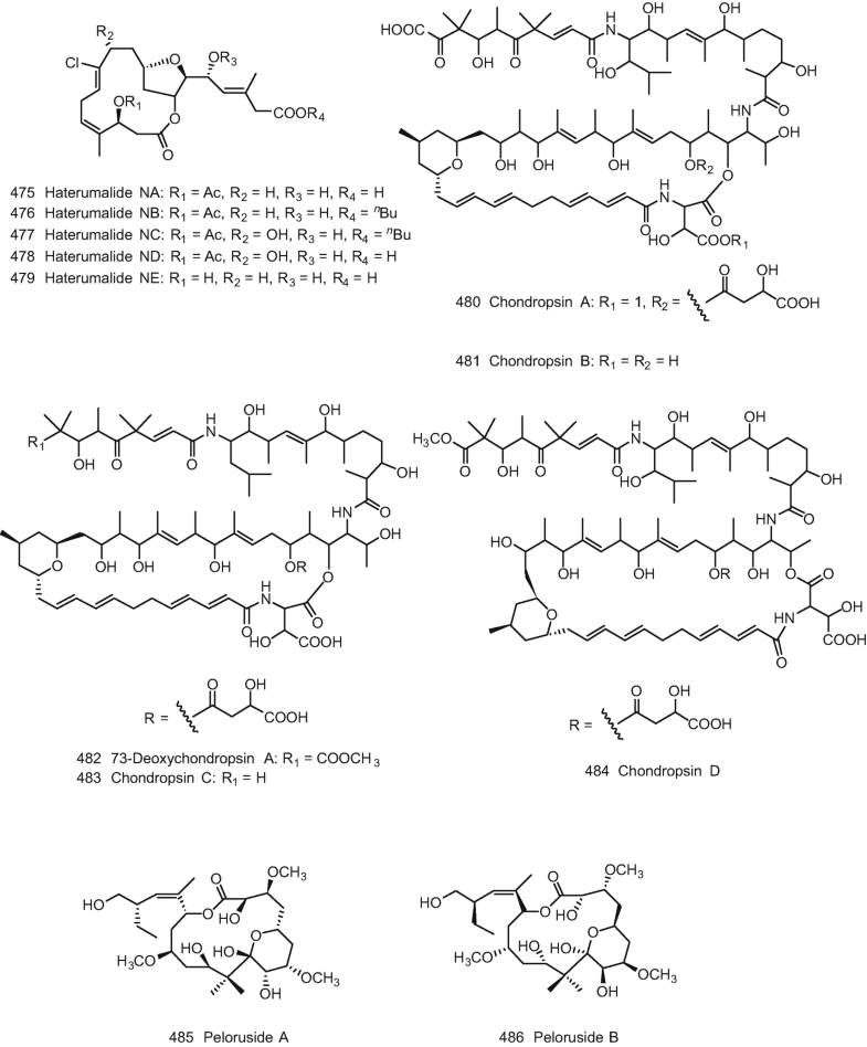 Natural Products From Sponges Springerlink Natural Products From Sponges Springerlink