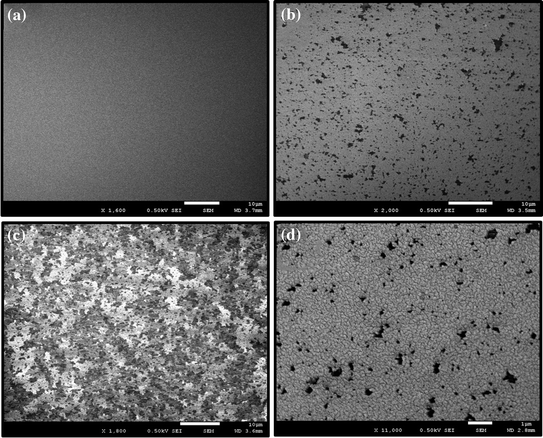 Biochips Fabrication And Surface Characterization Springerlink - 