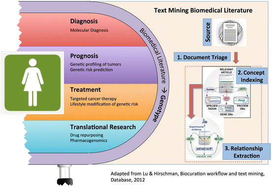 Text Mining for Precision Medicine: Bringing Structure to EHRs and ...