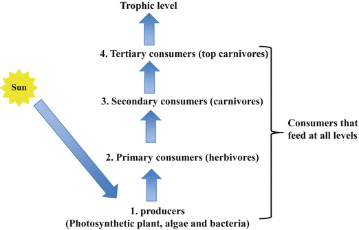 Microbes And Environment Springerlink - 