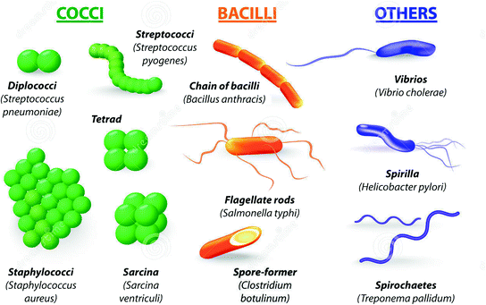 Important Definitions And Concepts Springerlink
