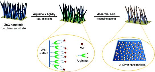 development of nano antimicrobial