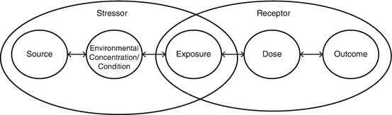 Human Exposure Assessment For Air Pollution Springerlink