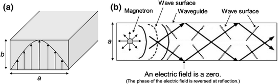 Engineering Of Microwave Heating 