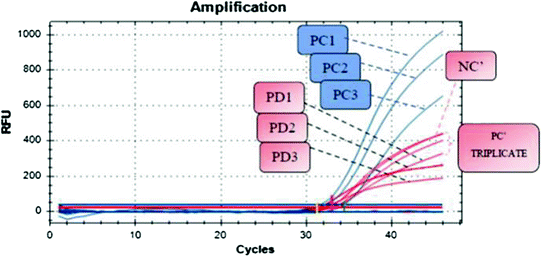 Screening of Transovarial Dengue Virus (DENV) Transmission in 