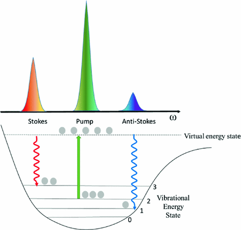 Stimulated Raman Scattering Microscopy For Brain Imaging Basic Principle Measurements And Applications Springerlink