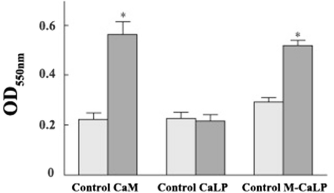 Identification and Characterization of Biomineralization Related